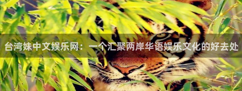 壹号娱乐