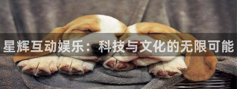 壹号娱乐app下载官网