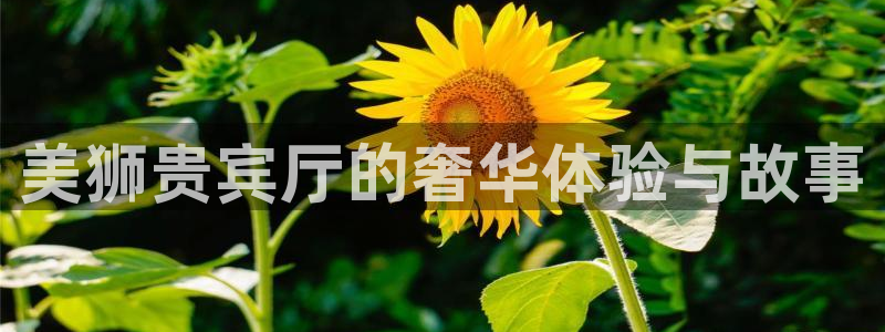 壹号娱乐科技赋能,让平台更有趣