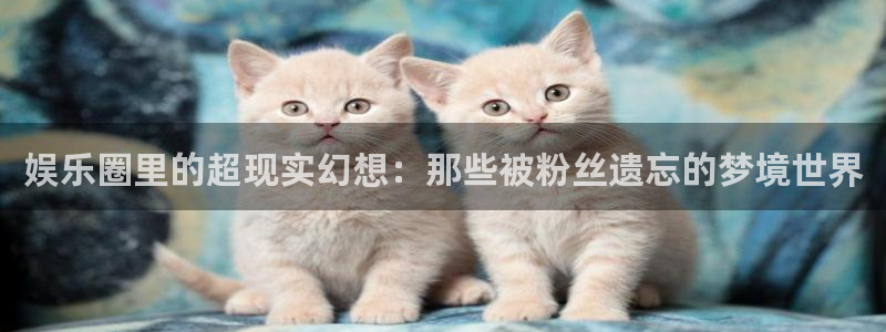 壹号注册入口app下载