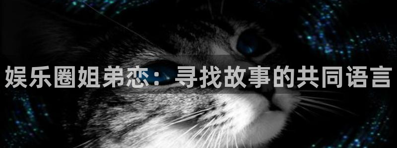 壹号娱乐官网