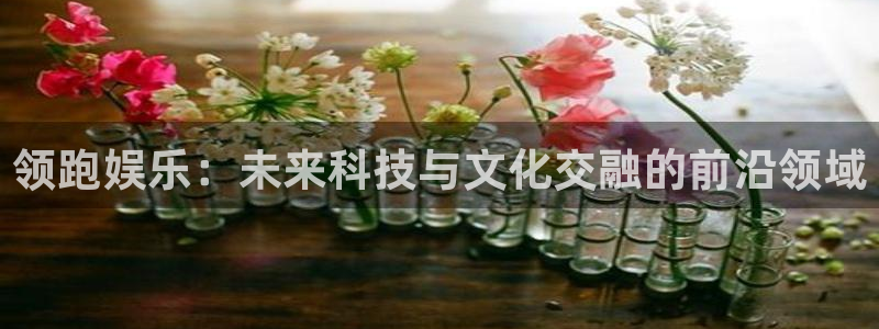 壹号娱乐.com