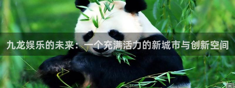 壹号娱乐app官网下载