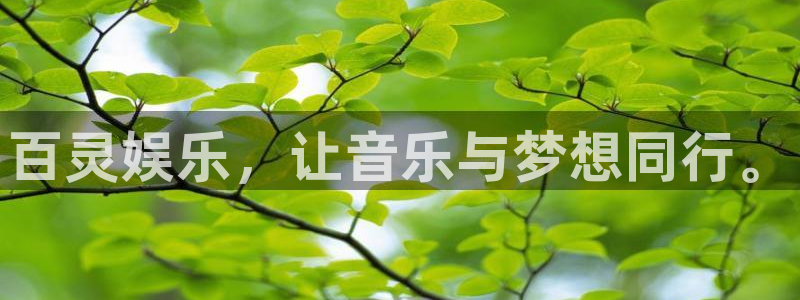 壹号电子娱乐app下载最新版