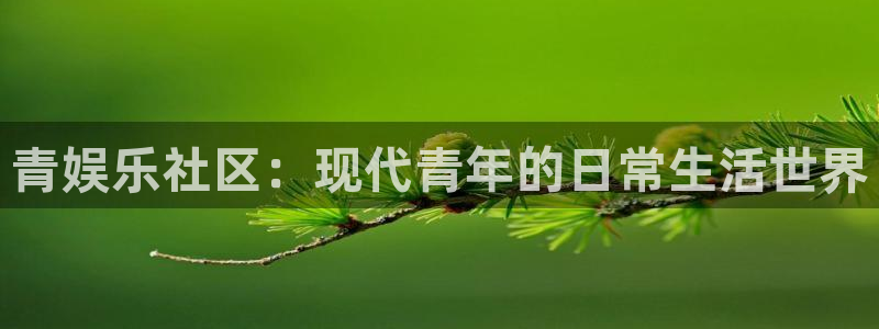 壹号电子娱乐app下载安装：青娱乐社区：现代青年的日常生活世界