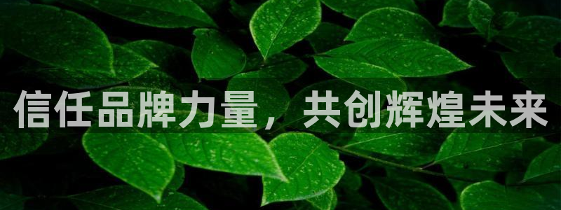 壹号娱乐app下载：信任品牌力量，共创辉煌未来