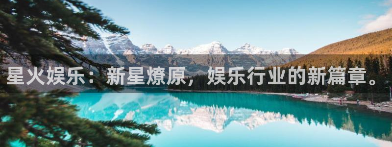 壹号app下载官网娱乐：星火娱乐：新星燎原，娱乐行业的新篇章。