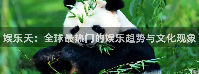 壹号app官方登录入口下载：娱乐天：全球最热门的娱乐趋势与文化现象