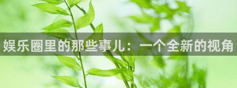 壹号玩家app下载：娱乐圈里的那些事儿：一个全新的视角