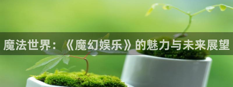 壹号娱乐退款怎么退：魔法世界：《魔幻娱乐》的魅力与未来展望