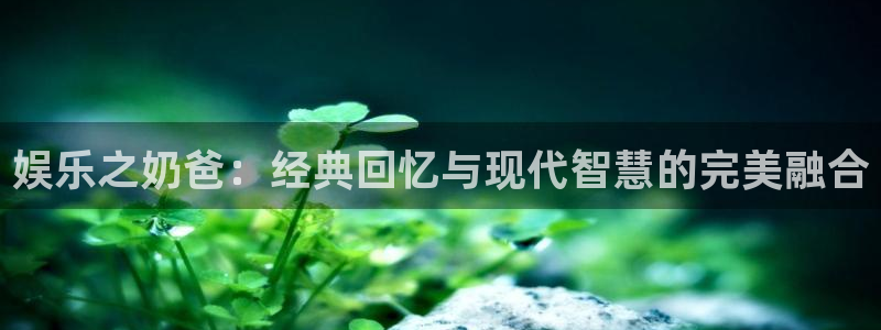 壹号娱乐,apk：娱乐之奶爸：经典回忆与现代智慧的完美融合