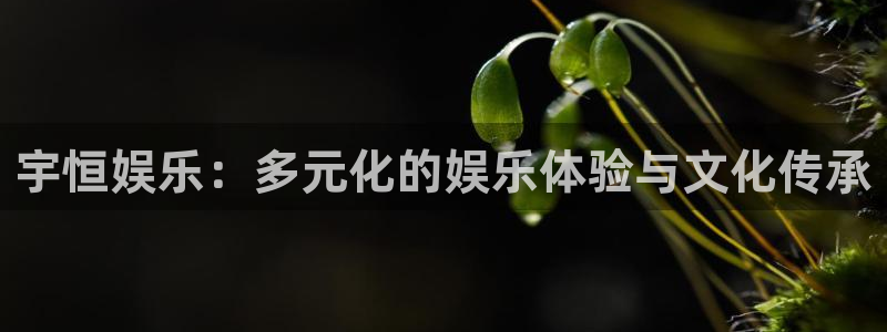壹号app下载：宇恒娱乐：多元化的娱乐体验与文化传承