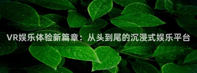 壹号娱乐app：VR娱乐体验新篇章：从头到尾的沉浸式娱乐平台