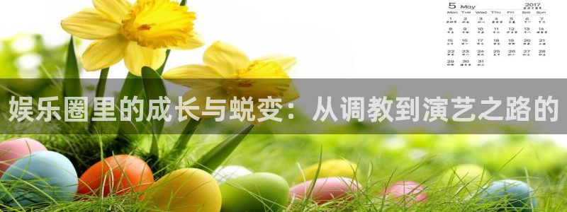 壹号平台注册链接官网下载：娱乐圈里的成长与蜕变：从调教到演艺之路的