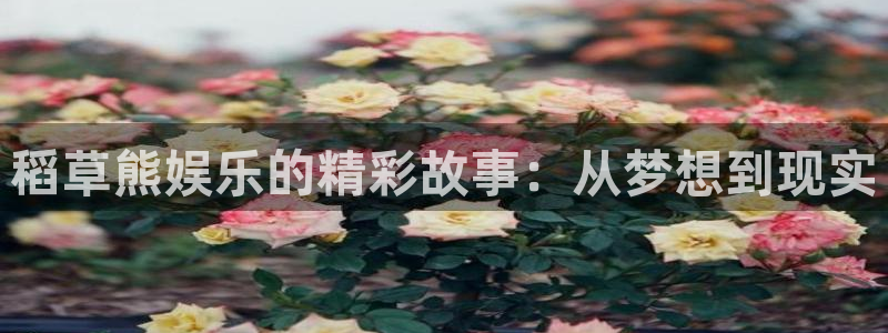 壹号大舞台娱乐app下载安装：稻草熊娱乐的精彩故事：从梦想到现实