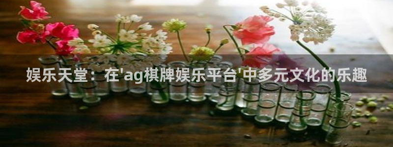 壹号平台娱乐：娱乐天堂：在\'ag棋牌娱乐平台\'中多元文化的乐趣