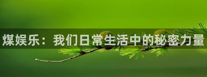 壹号娱乐app下载官网：煤娱乐：我们日常生活中的秘密力量