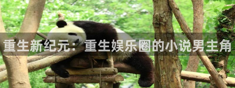 壹号官网app下载安装：重生新纪元：重生娱乐圈的小说男主角