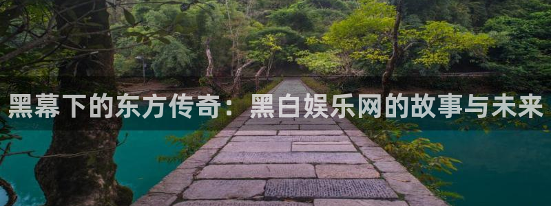 壹号电子娱乐app：黑幕下的东方传奇：黑白娱乐网的故事与未来