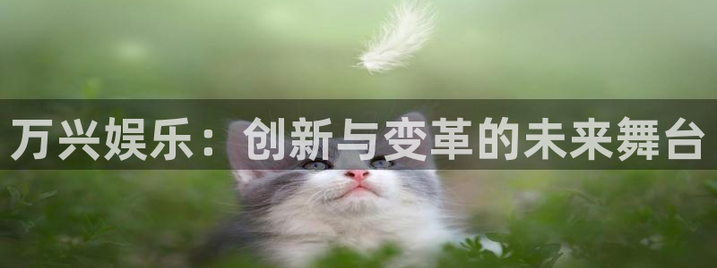 壹号国际app免费下载安装：万兴娱乐：创新与变革的未来舞台