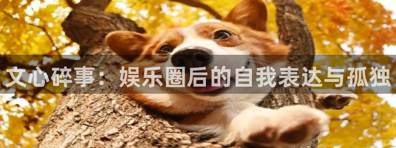 壹号top娱乐：文心碎事：娱乐圈后的自我表达与孤独
